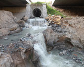 讓廢水變“活水”！鎮(zhèn)海再生水“養(yǎng)”出生態(tài)濕地公園